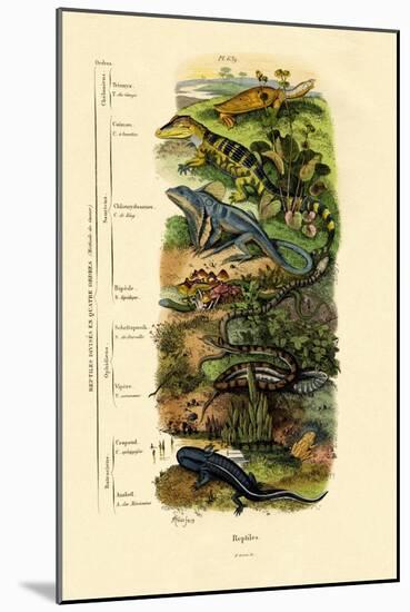 Reptiles, 1833-39-null-Mounted Giclee Print