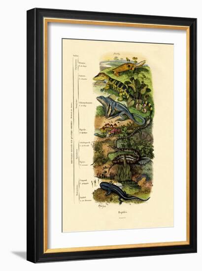 Reptiles, 1833-39-null-Framed Giclee Print