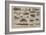 Reptiles and Insects of Various Parts of the World-null-Framed Giclee Print