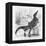 Reptiles, Crocodile-null-Framed Stretched Canvas