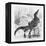 Reptiles, Crocodile-null-Framed Stretched Canvas