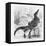 Reptiles, Crocodile-null-Framed Stretched Canvas