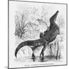 Reptiles, Crocodile-null-Mounted Art Print