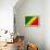 Republic of The Congo Flag Design with Wood Patterning - Flags of the World Series-Philippe Hugonnard-Framed Stretched Canvas displayed on a wall