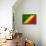 Republic of The Congo Flag Design with Wood Patterning - Flags of the World Series-Philippe Hugonnard-Framed Stretched Canvas displayed on a wall