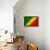 Republic of The Congo Flag Design with Wood Patterning - Flags of the World Series-Philippe Hugonnard-Framed Stretched Canvas displayed on a wall