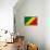 Republic of The Congo Flag Design with Wood Patterning - Flags of the World Series-Philippe Hugonnard-Framed Stretched Canvas displayed on a wall