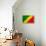 Republic of The Congo Flag Design with Wood Patterning - Flags of the World Series-Philippe Hugonnard-Framed Stretched Canvas displayed on a wall