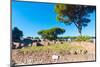 Republican temple, Ostia Antica archaeological site, Ostia, Rome province, Latium (Lazio), Italy-Nico Tondini-Mounted Photographic Print