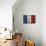 Republique Francaise-Luke Wilson-Mounted Art Print displayed on a wall