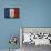 Republique Francaise-Luke Wilson-Framed Stretched Canvas displayed on a wall