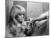 REPULSION, 1965 directed by ROMAN POLANSKI Catherine Deneuve (b/w photo)-null-Mounted Photo