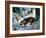 Rescue in the Snow-McConnell-Framed Giclee Print