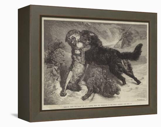 Rescued from the Wolf-Samuel John Carter-Framed Premier Image Canvas