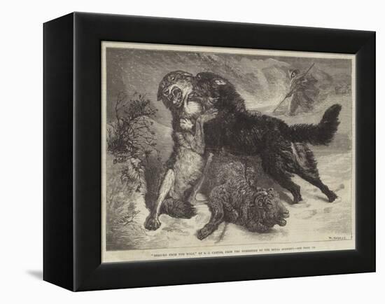 Rescued from the Wolf-Samuel John Carter-Framed Premier Image Canvas