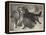 Rescued from the Wolf-Samuel John Carter-Framed Premier Image Canvas