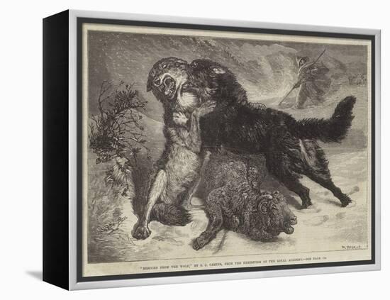 Rescued from the Wolf-Samuel John Carter-Framed Premier Image Canvas