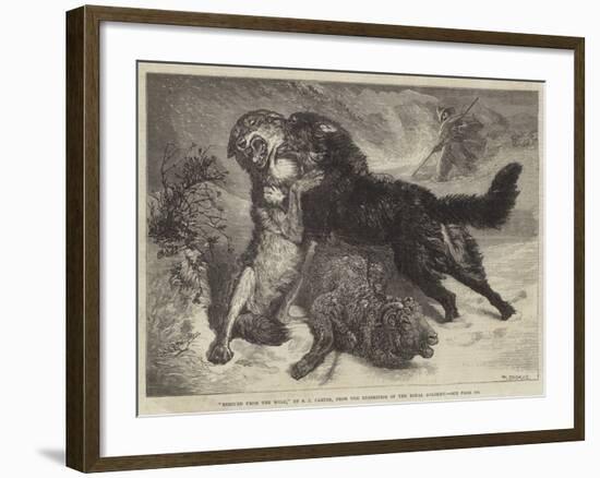 Rescued from the Wolf-Samuel John Carter-Framed Giclee Print