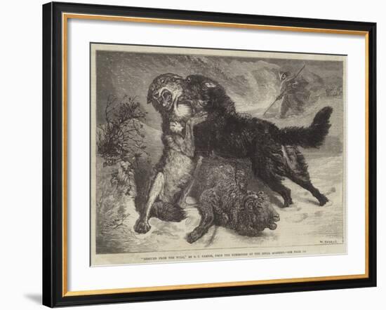 Rescued from the Wolf-Samuel John Carter-Framed Giclee Print