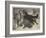 Rescued from the Wolf-Samuel John Carter-Framed Giclee Print