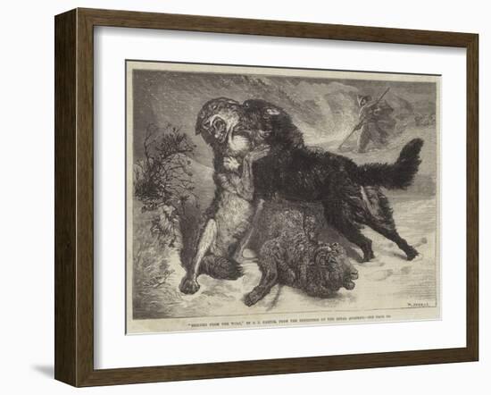 Rescued from the Wolf-Samuel John Carter-Framed Giclee Print