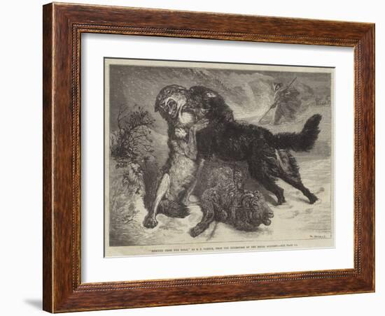 Rescued from the Wolf-Samuel John Carter-Framed Giclee Print