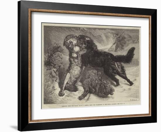 Rescued from the Wolf-Samuel John Carter-Framed Giclee Print