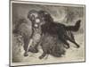 Rescued from the Wolf-Samuel John Carter-Mounted Giclee Print