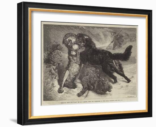 Rescued from the Wolf-Samuel John Carter-Framed Giclee Print