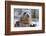 Rescued Grey Seal Pup (Halichoerus Grypus)-Nick Upton-Framed Photographic Print