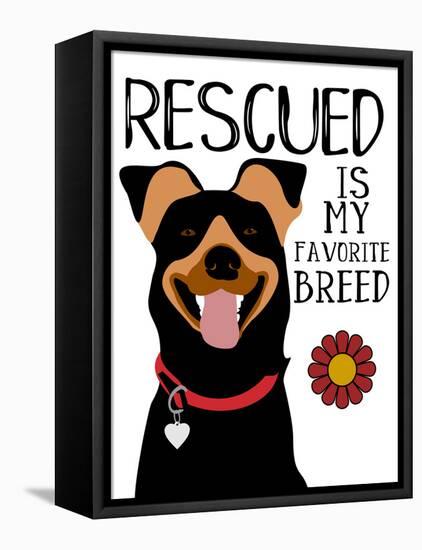 Rescued is my Favorite Breed-Ginger Oliphant-Framed Stretched Canvas