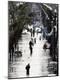 Photographic Print