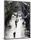 Photographic Print