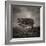 Resiliance-Doug Chinnery-Framed Photographic Print