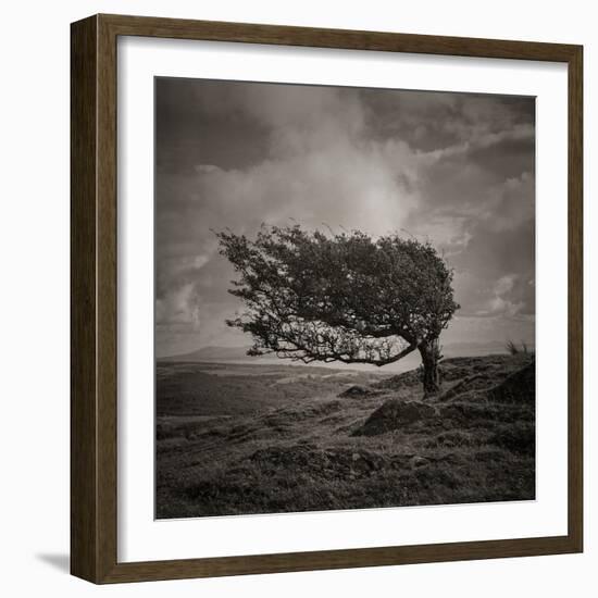 Resiliance-Doug Chinnery-Framed Photographic Print