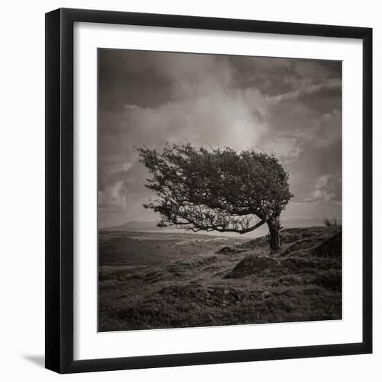 Resiliance-Doug Chinnery-Framed Photographic Print