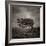 Resiliance-Doug Chinnery-Framed Photographic Print