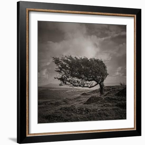 Resiliance-Doug Chinnery-Framed Photographic Print