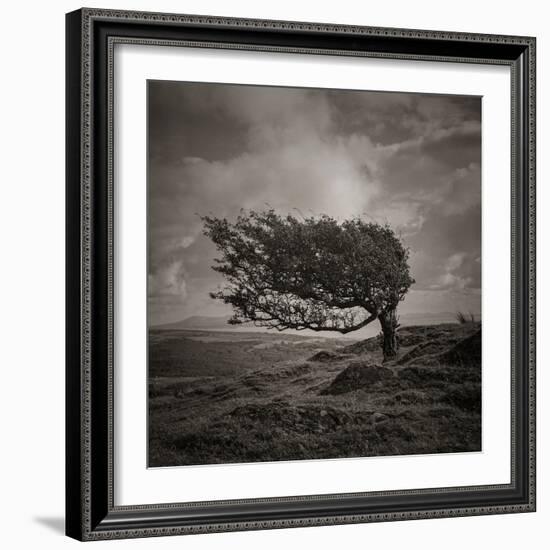 Resiliance-Doug Chinnery-Framed Photographic Print