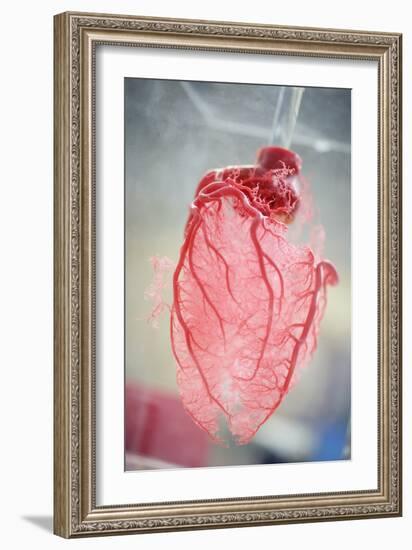 Resin Cast of Heart Blood Vessels-Arno Massee-Framed Photographic Print