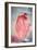 Resin Cast of Heart Blood Vessels-Arno Massee-Framed Photographic Print
