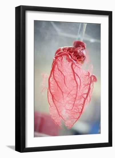 Resin Cast of Heart Blood Vessels-Arno Massee-Framed Photographic Print