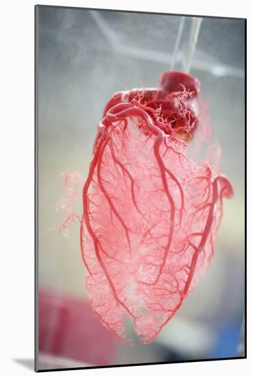 Resin Cast of Heart Blood Vessels-Arno Massee-Mounted Photographic Print