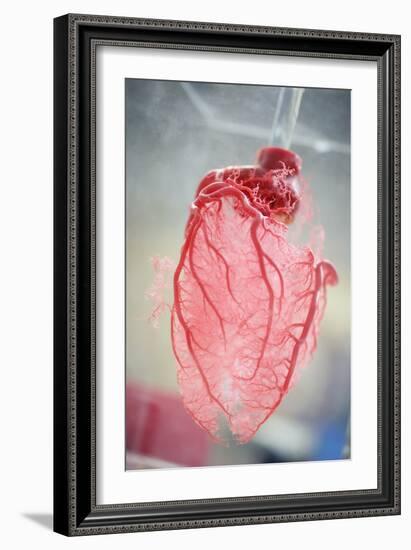 Resin Cast of Heart Blood Vessels-Arno Massee-Framed Photographic Print