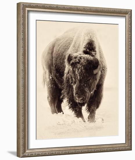 Resolute-Wink Gaines-Framed Giclee Print