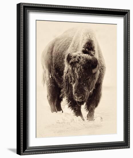 Resolute-Wink Gaines-Framed Giclee Print