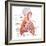 Respiratory System Anatomy-niceclip-Framed Art Print