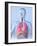 Respiratory System, Artwork-Roger Harris-Framed Photographic Print