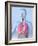 Respiratory System, Artwork-Roger Harris-Framed Photographic Print