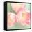 Resplendent Blossoms-Sarah Gardner-Framed Stretched Canvas